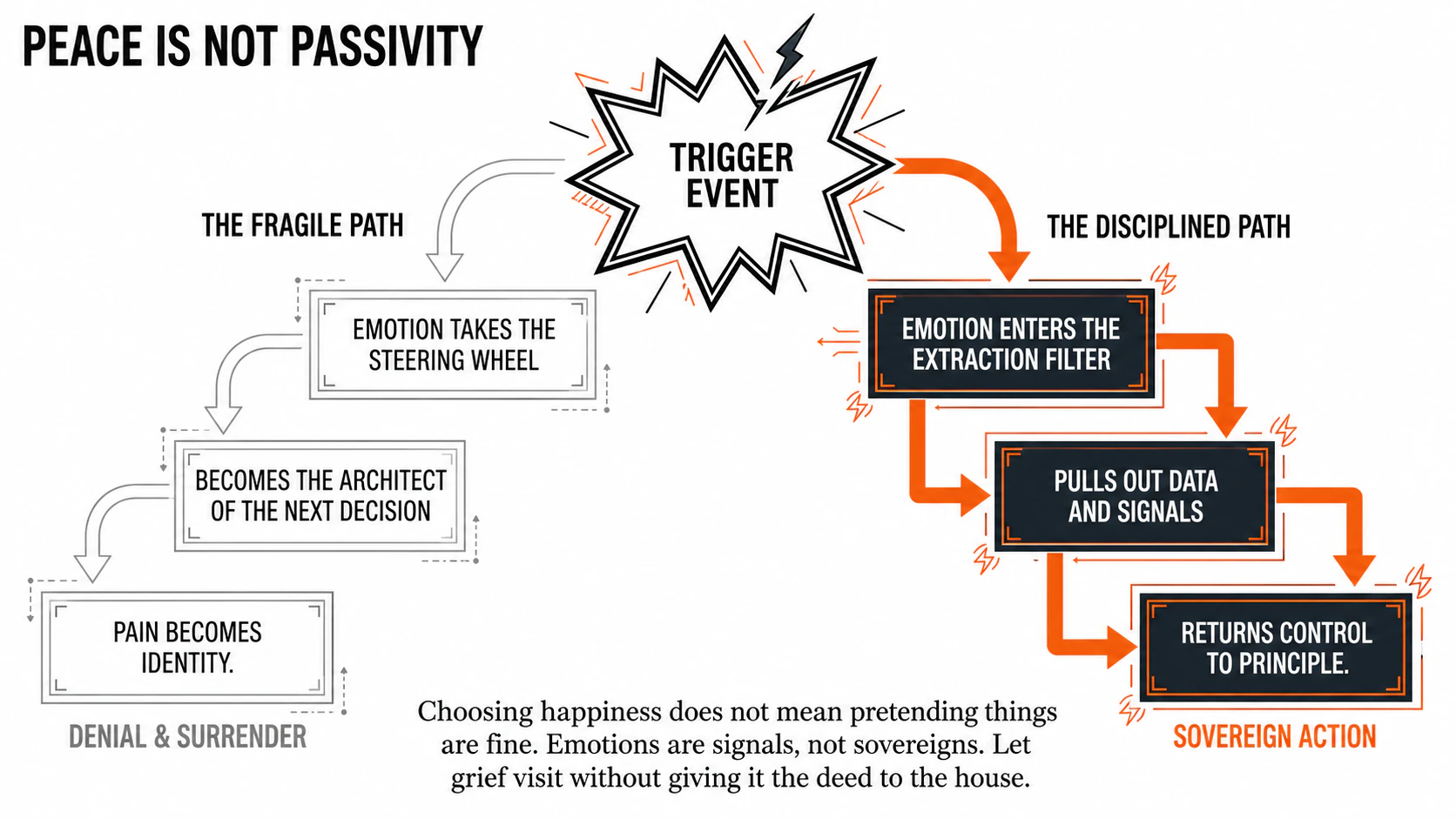 A trigger event moving through the fragile path of emotion taking control or the disciplined path of extracting signal and returning to principle.